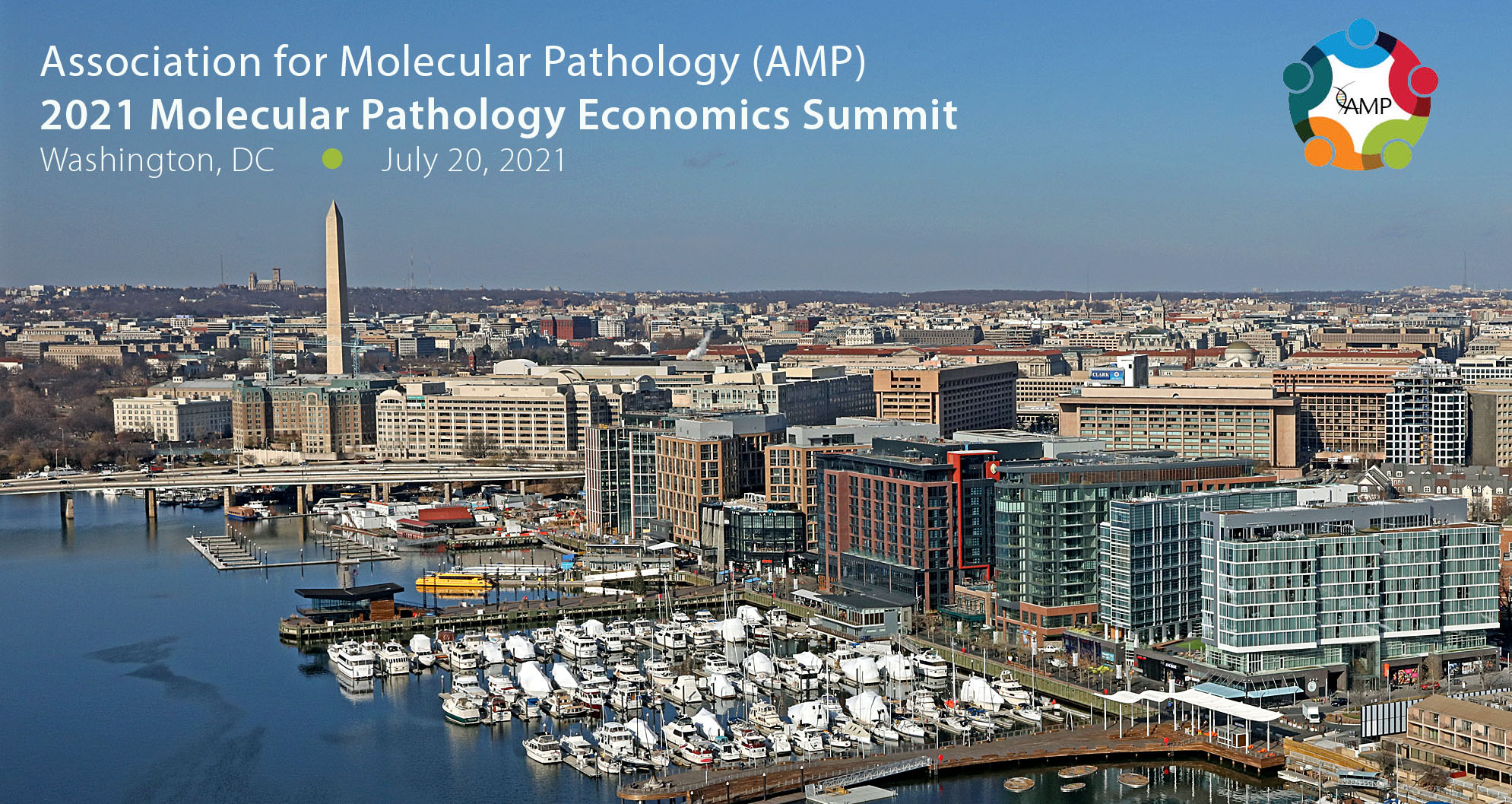 AMP Molecular Pathology Economics Summit Association for Molecular