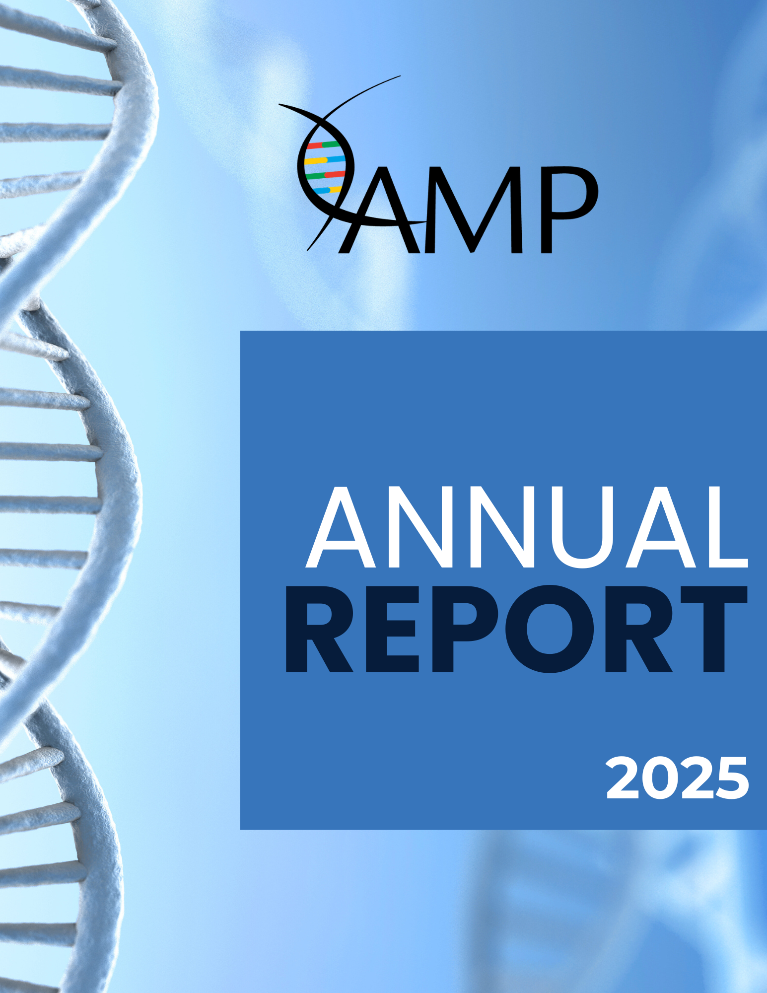 AMP 2024 Annual Report cover