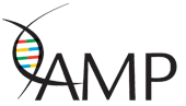 AMP Logo