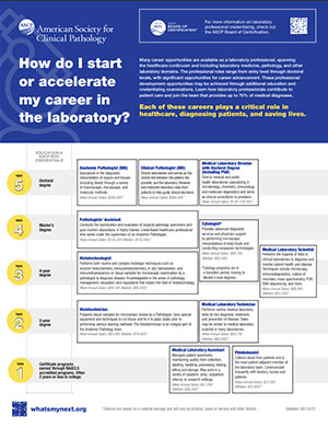 Career Infographic