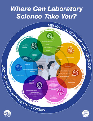 Career Infographic