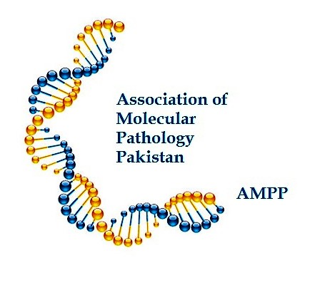 AMPP