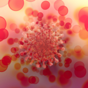 Infectious Diseases Subdivision