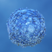 Solid Tumors Subdivision