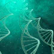 Genetics Subdivision